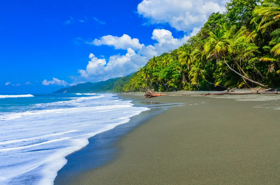 Junglegeluiden in Corcovado National Park